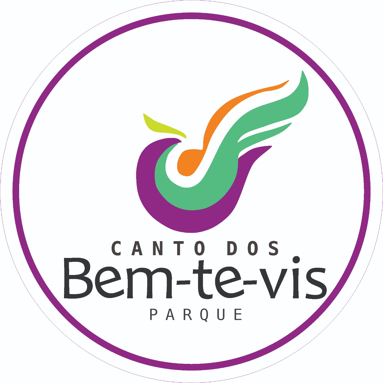 Bem-Te-Vis